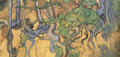 Vincent Van Gogh Tree Root and Trunks (nn04) France oil painting art